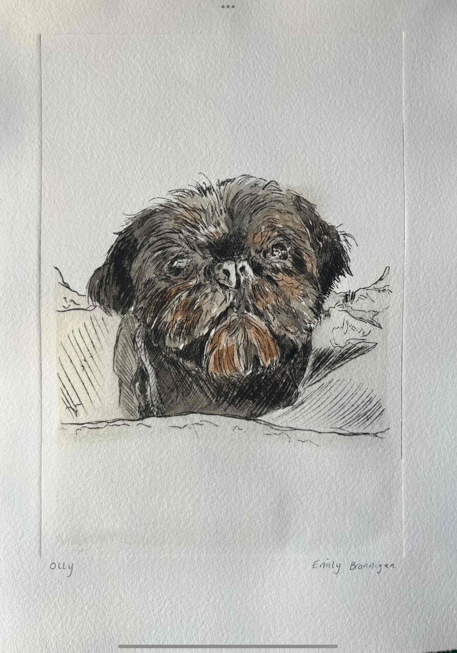 Olly - Etching and Watercolour