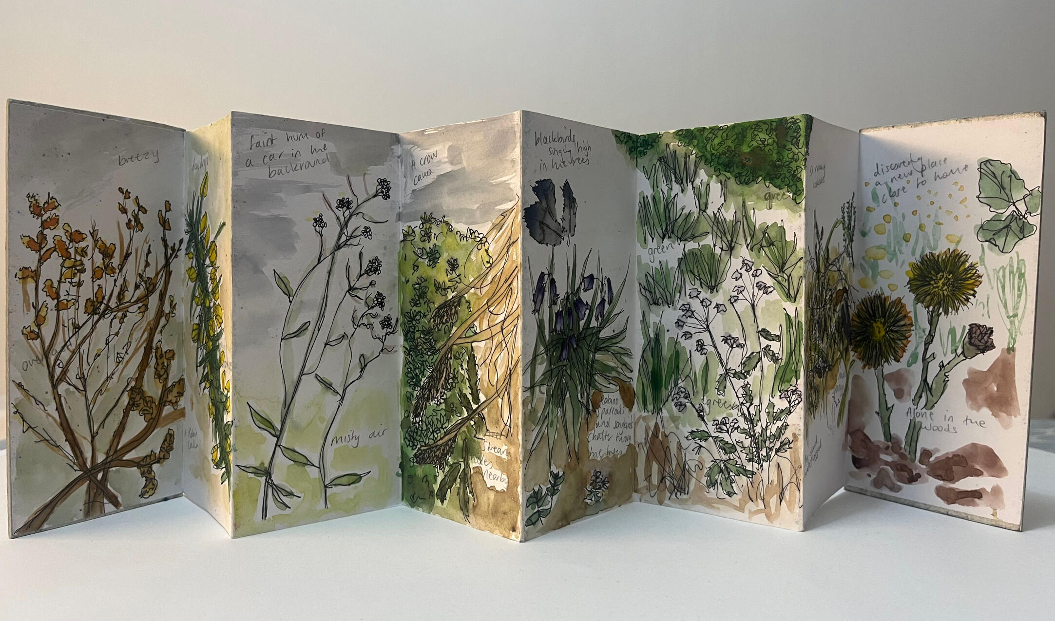 Meadow Walk Concertina