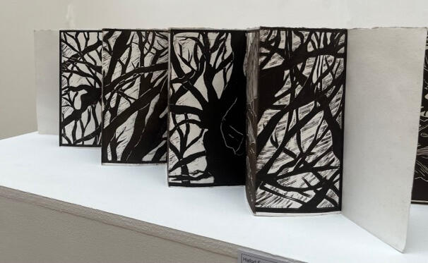 Artist’s Book - Hafod Beech