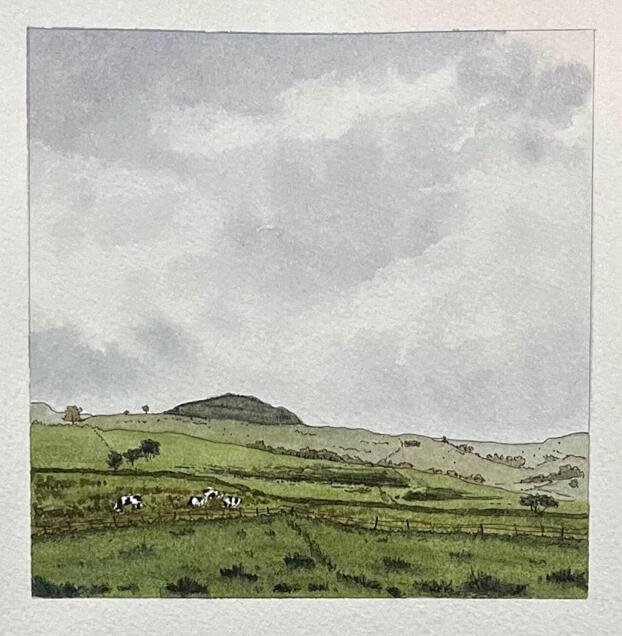 Cows at Slemish
