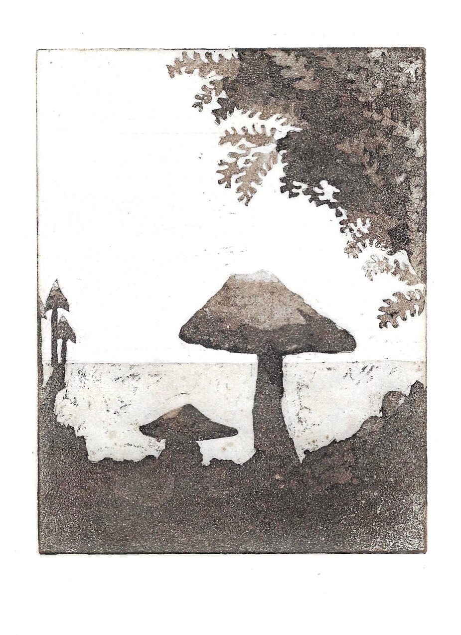Fungi