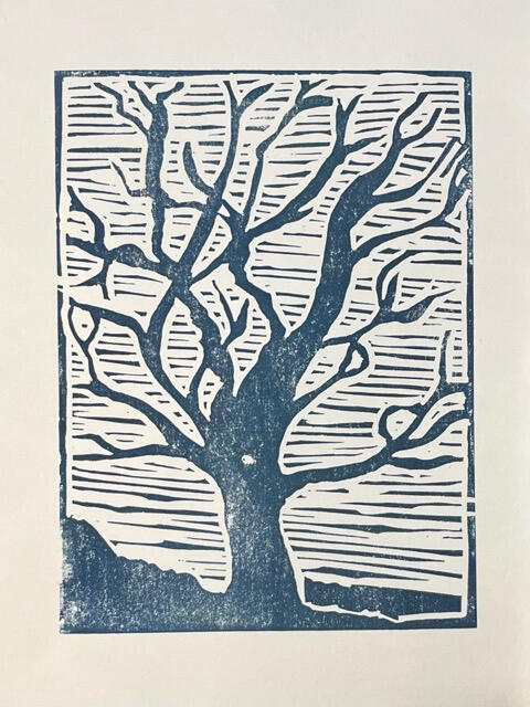 Beech