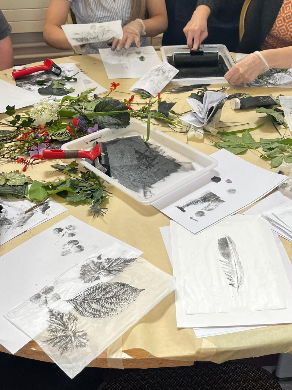 'Print with Nature' at USWA Exhibition at Crumlin Road Gaol. August 2026